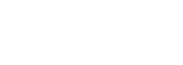 Superhuman Protocol